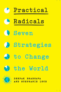 Practical Radicals: Seven Strategies to Change the World